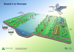 Stewards of our Riverscapes - Food Vision 2050